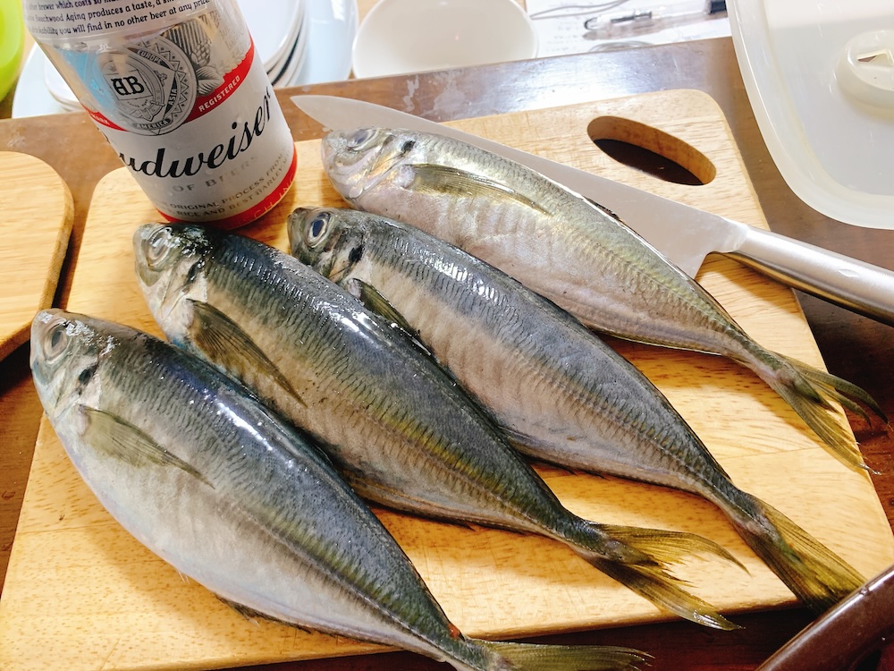 鯵（アジ）を捌いてみた。