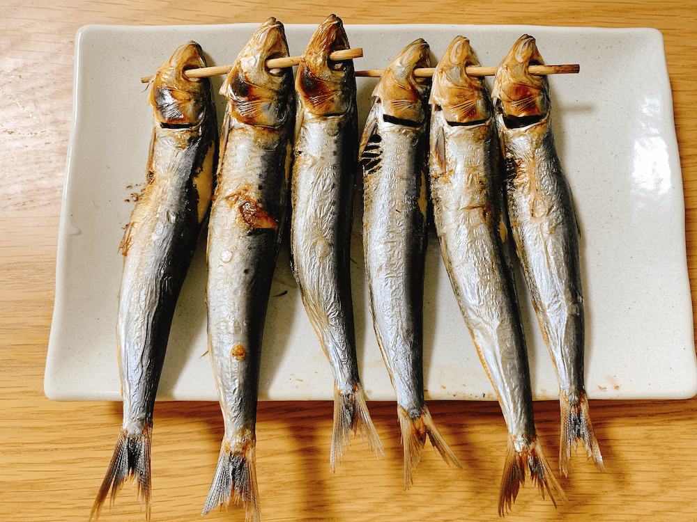 メザシの見る世界。