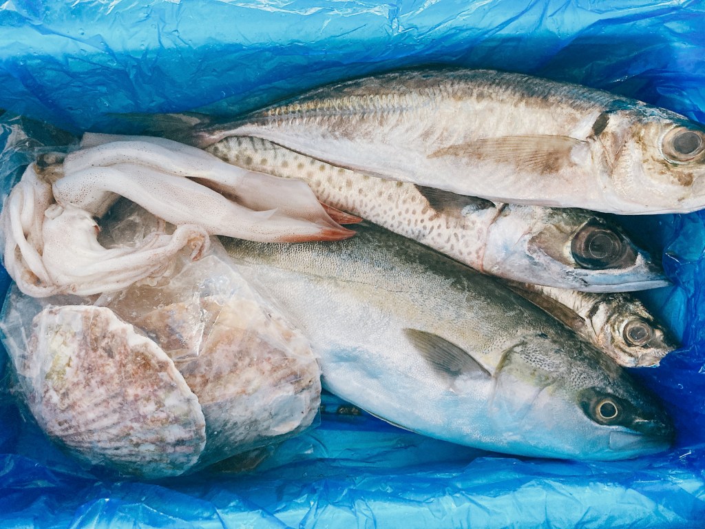 【ふるさと納税】海鮮三昧とこっそり生ウニの話