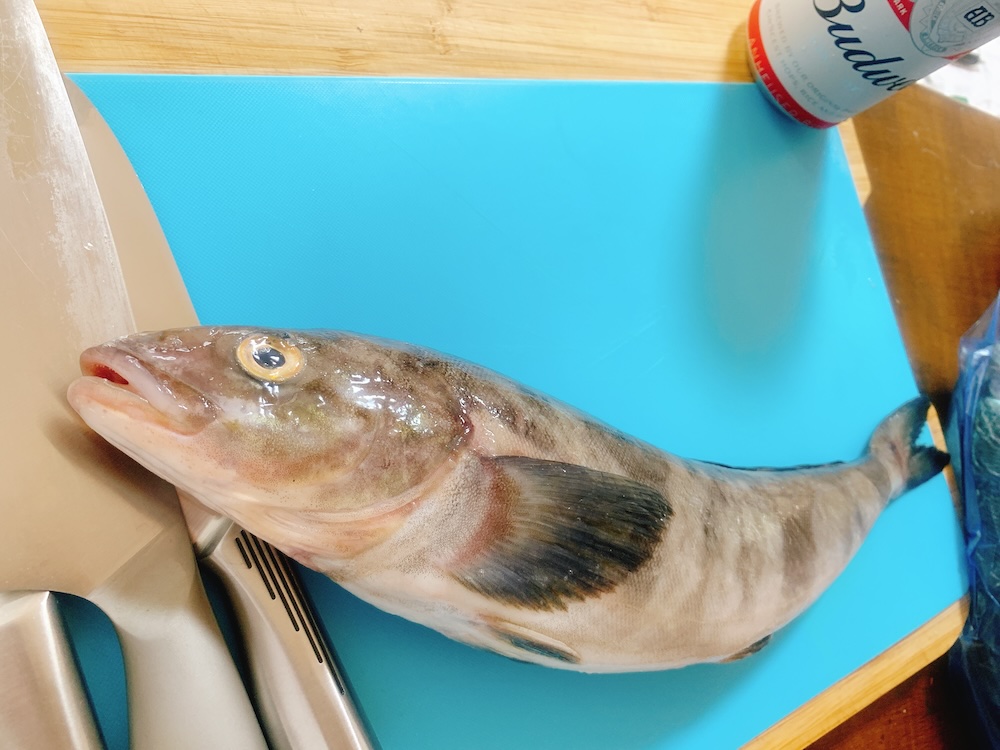 【晩酌研究】𩸽（ホッケ）はなぜ『花』の魚なのか。