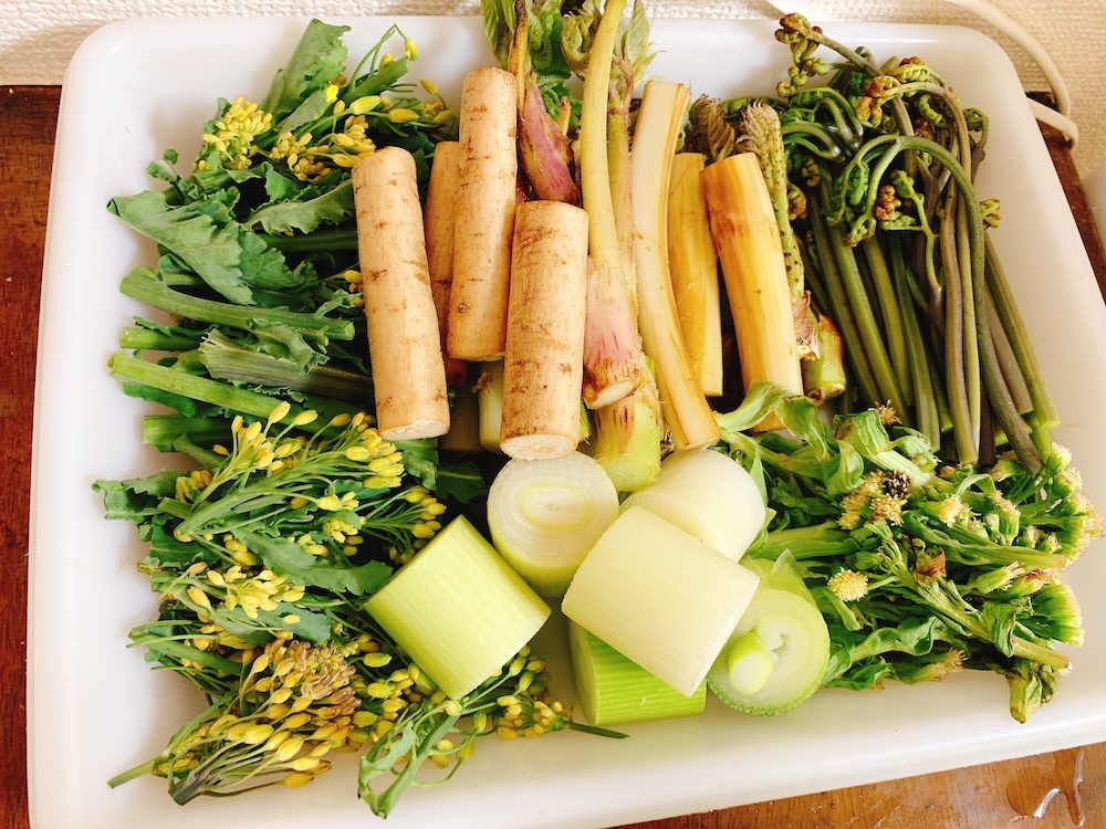 【秩父】ショットガンみたいな深谷ネギと山菜で春を感じた話