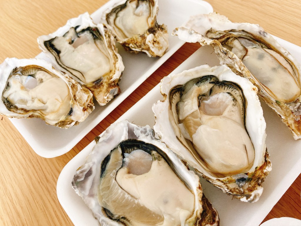 衝撃の事実【牡蠣には足が生えている】魚介を食べながら雑学の話